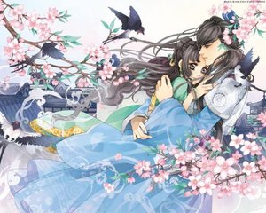 夜来香研究所网站